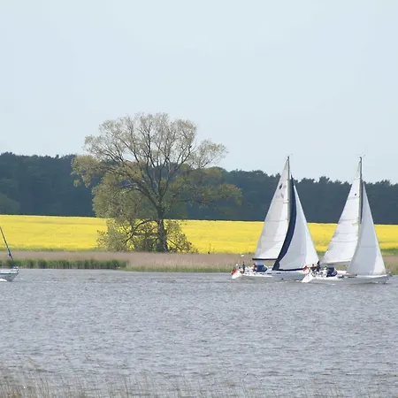 Ferienhaus Peene Utkiek Zecherin (Molschow, Vorpommern-Greifswald)